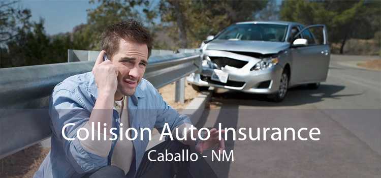 Collision Auto Insurance Caballo - NM