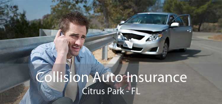 Collision Auto Insurance Citrus Park - FL