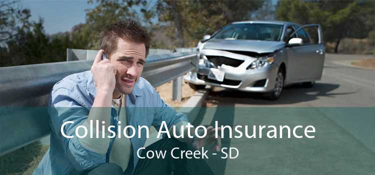 Collision Auto Insurance Cow Creek - SD