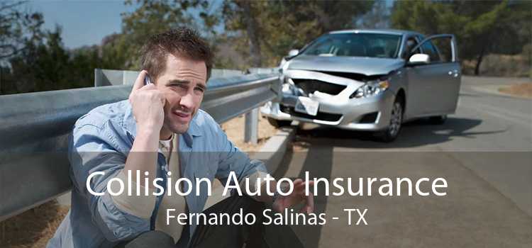 Collision Auto Insurance Fernando Salinas - TX