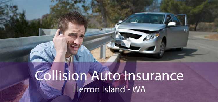 Collision Auto Insurance Herron Island - WA