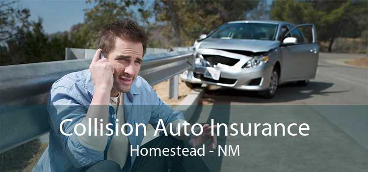 Collision Auto Insurance Homestead - NM