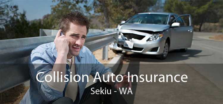 Collision Auto Insurance Sekiu - WA