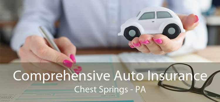 Comprehensive Auto Insurance Chest Springs - PA