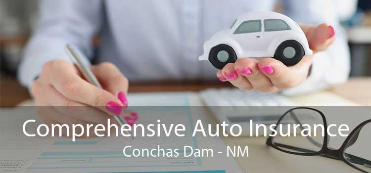 Comprehensive Auto Insurance Conchas Dam - NM
