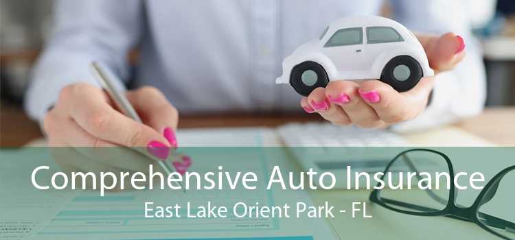 Comprehensive Auto Insurance East Lake Orient Park - FL
