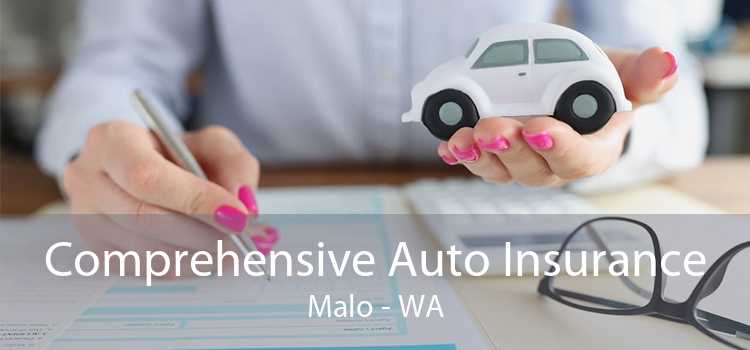 Comprehensive Auto Insurance Malo - WA