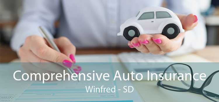 Comprehensive Auto Insurance Winfred - SD