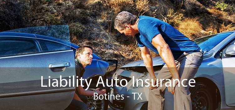Liability Auto Insurance Botines - TX