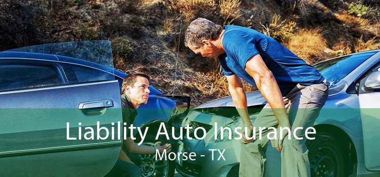 Liability Auto Insurance Morse - TX