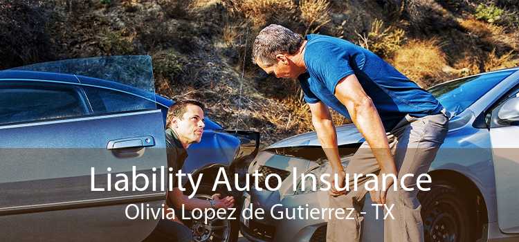 Liability Auto Insurance Olivia Lopez de Gutierrez - TX