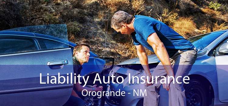 Liability Auto Insurance Orogrande - NM