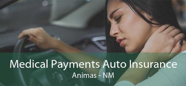 Medical Payments Auto Insurance Animas - NM