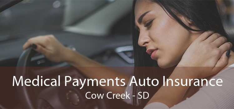 Medical Payments Auto Insurance Cow Creek - SD