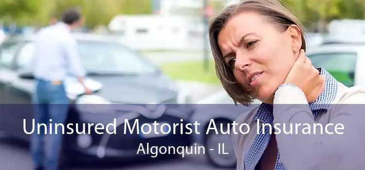 Uninsured Motorist Auto Insurance Algonquin - IL