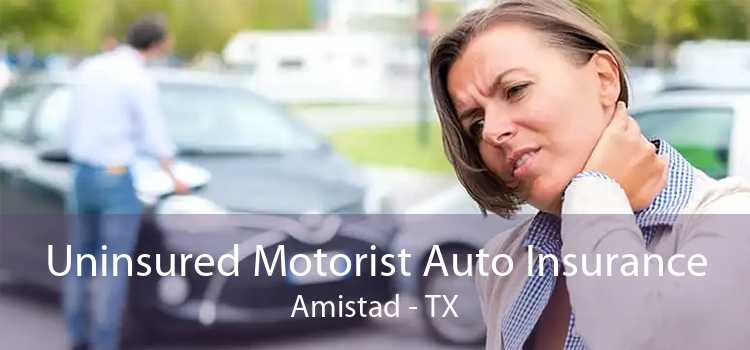 Uninsured Motorist Auto Insurance Amistad - TX