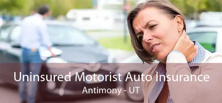 Uninsured Motorist Auto Insurance Antimony - UT