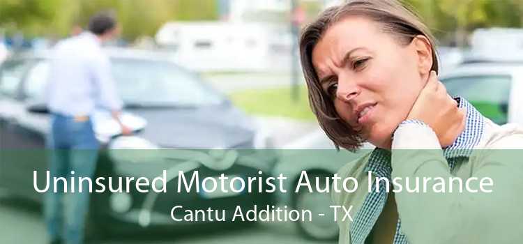 Uninsured Motorist Auto Insurance Cantu Addition - TX