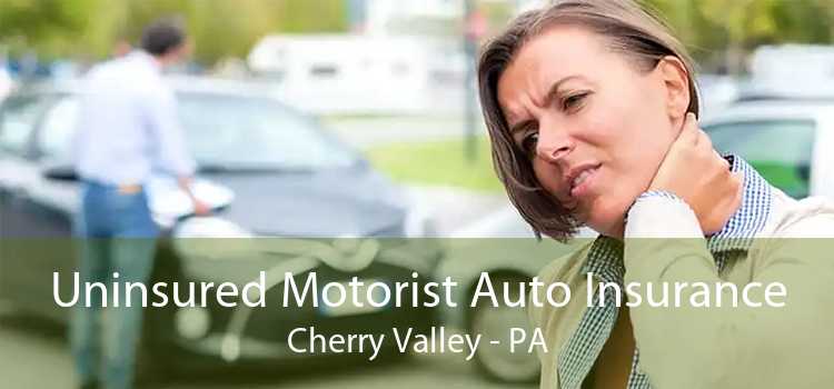 Uninsured Motorist Auto Insurance Cherry Valley - PA
