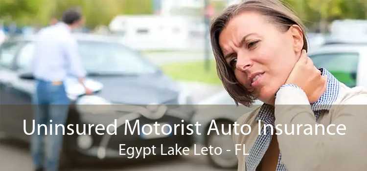 Uninsured Motorist Auto Insurance Egypt Lake Leto - FL