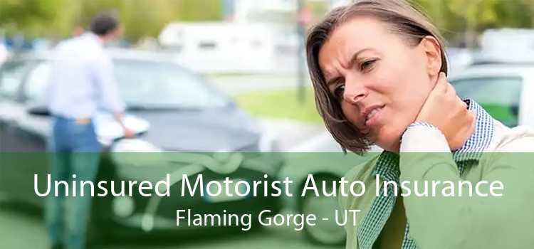 Uninsured Motorist Auto Insurance Flaming Gorge - UT