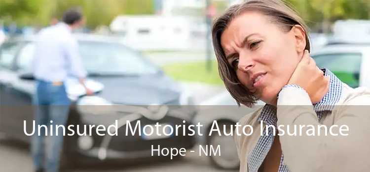 Uninsured Motorist Auto Insurance Hope - NM