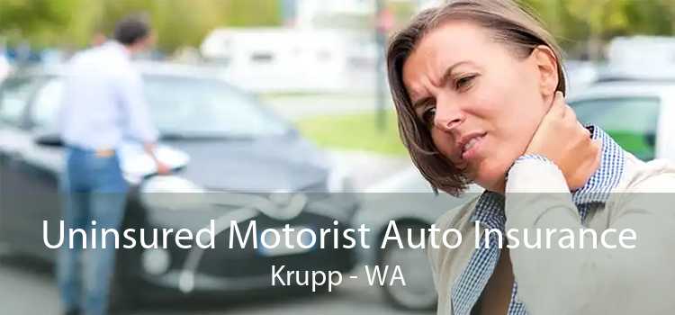 Uninsured Motorist Auto Insurance Krupp - WA