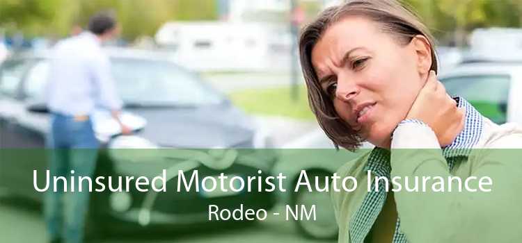 Uninsured Motorist Auto Insurance Rodeo - NM